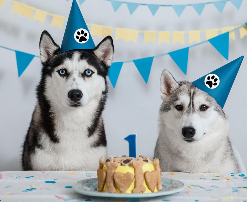 Fundraising For A Cause 250 Paw Print Awareness Stickers - Fundraise for Animal Rights, Stop Abuse, Perfect for Pet Lovers, Businesses, Clinics, Labels, Scrapbooks - Image 3